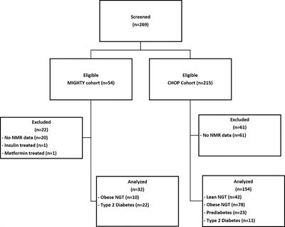 Nuclear Magnetic Resonance Derived Biomarkers for Evaluating Cardiometabolic Risk in Youth and Young Adults Across the Spectrum of Glucose Tolerance